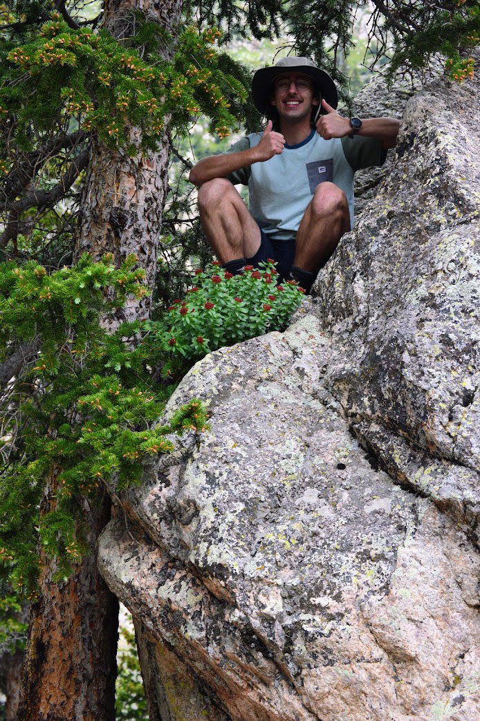 Close-up of Courville on rock in nature area