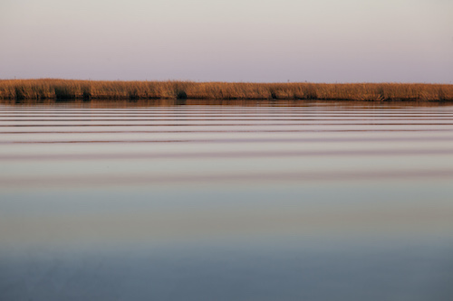 photo: coast line