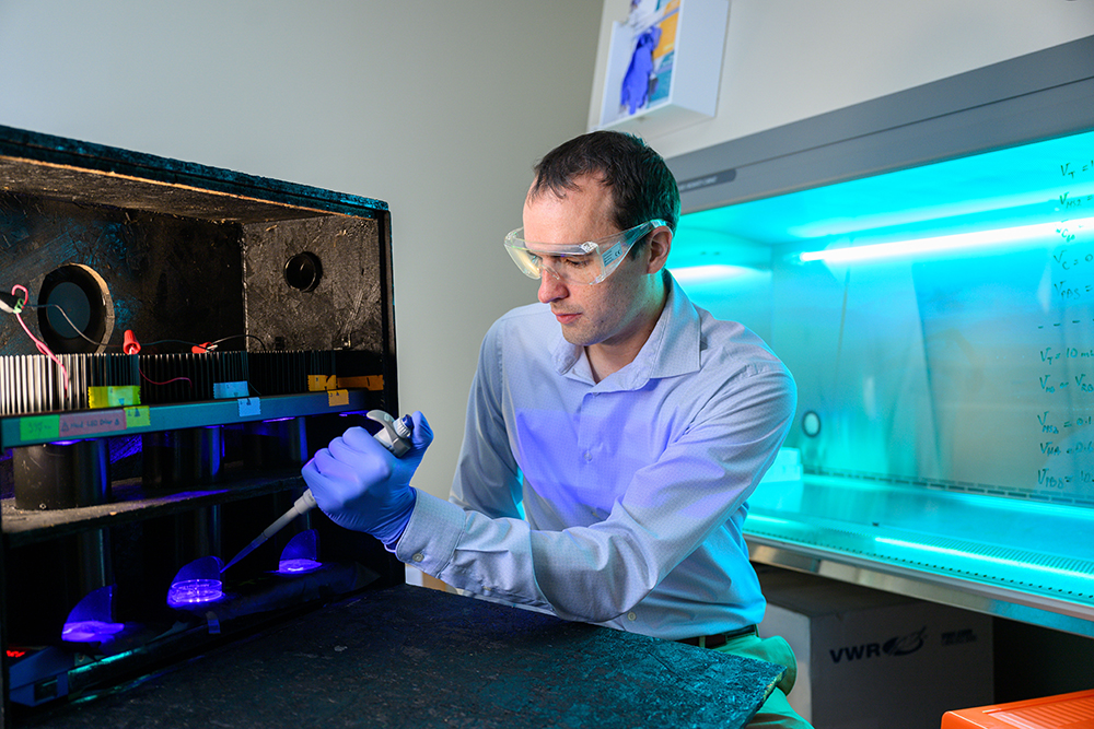 Using a dropper into a petri dish