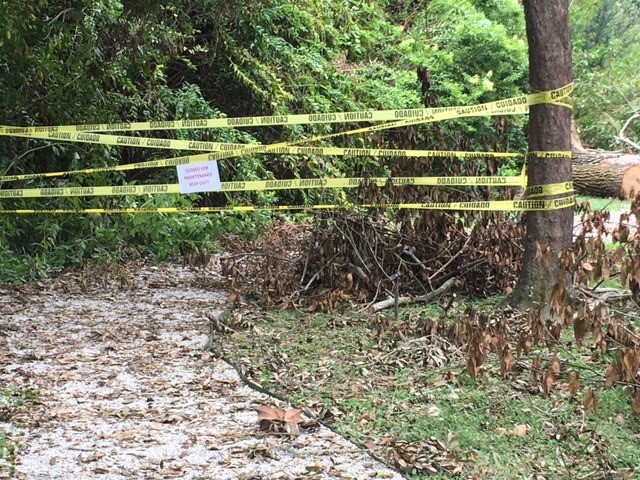 hurricane damage showing blocked walking paths