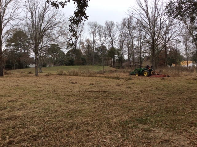 bush-hogging meadow