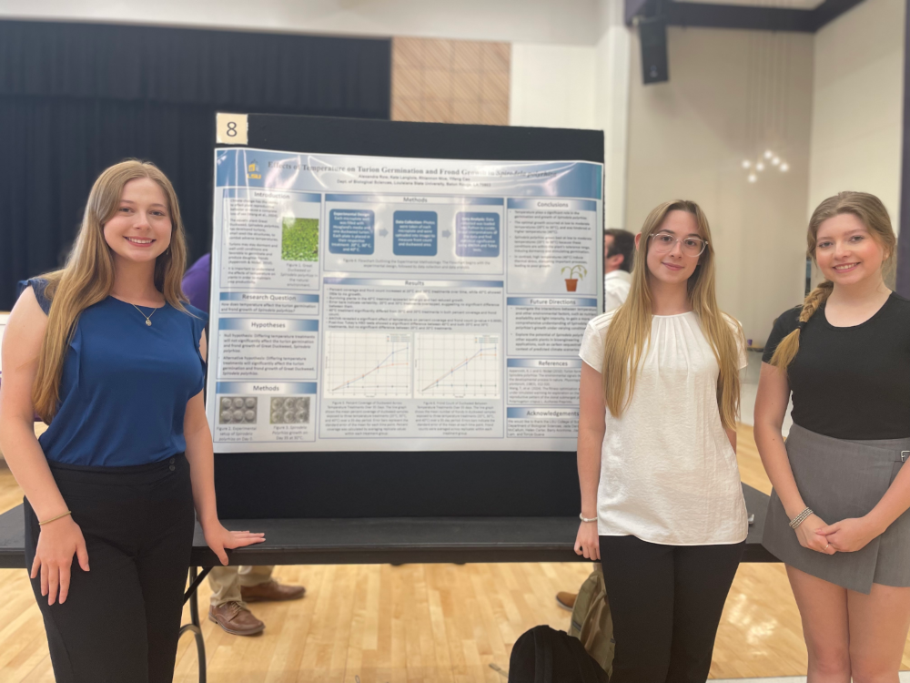 Top Duckweed Alexandra Rowe, Kate Langlios, Rhiannon Nice TOP DUCKWEED AlexandraRowe KateLanglios RhiannonNice