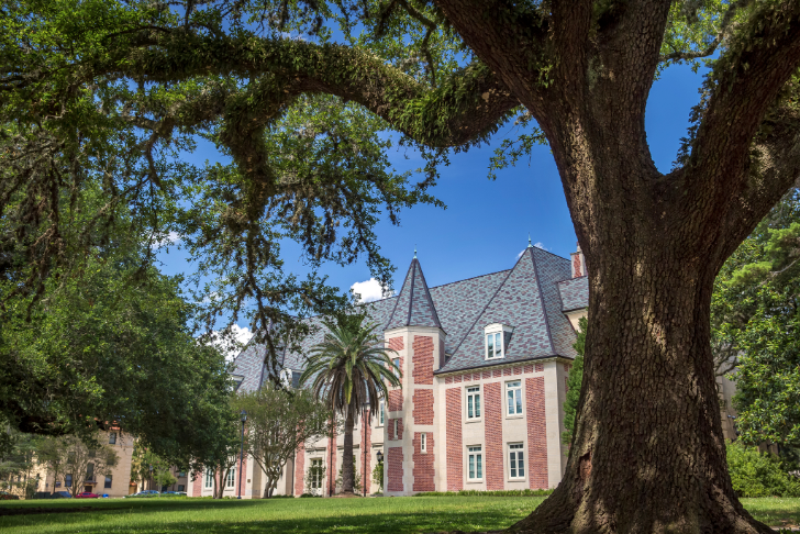 lsu french house under an oak tree