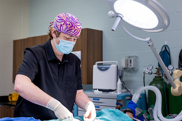 Tanner Hernandez performing surgery